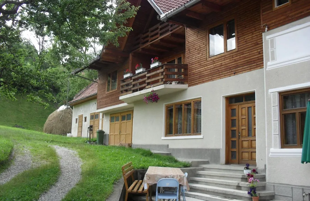 Pensiunea Laura-1